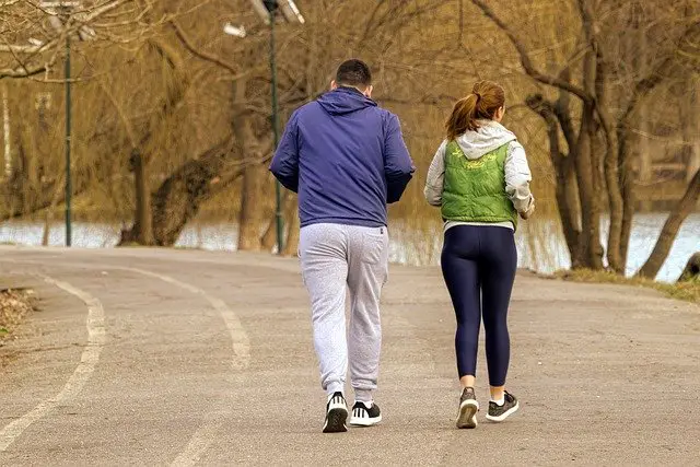 couple, young people, running, alley, park, winter, the nature, trees, lake, running, running, running, nature, running, running, winter